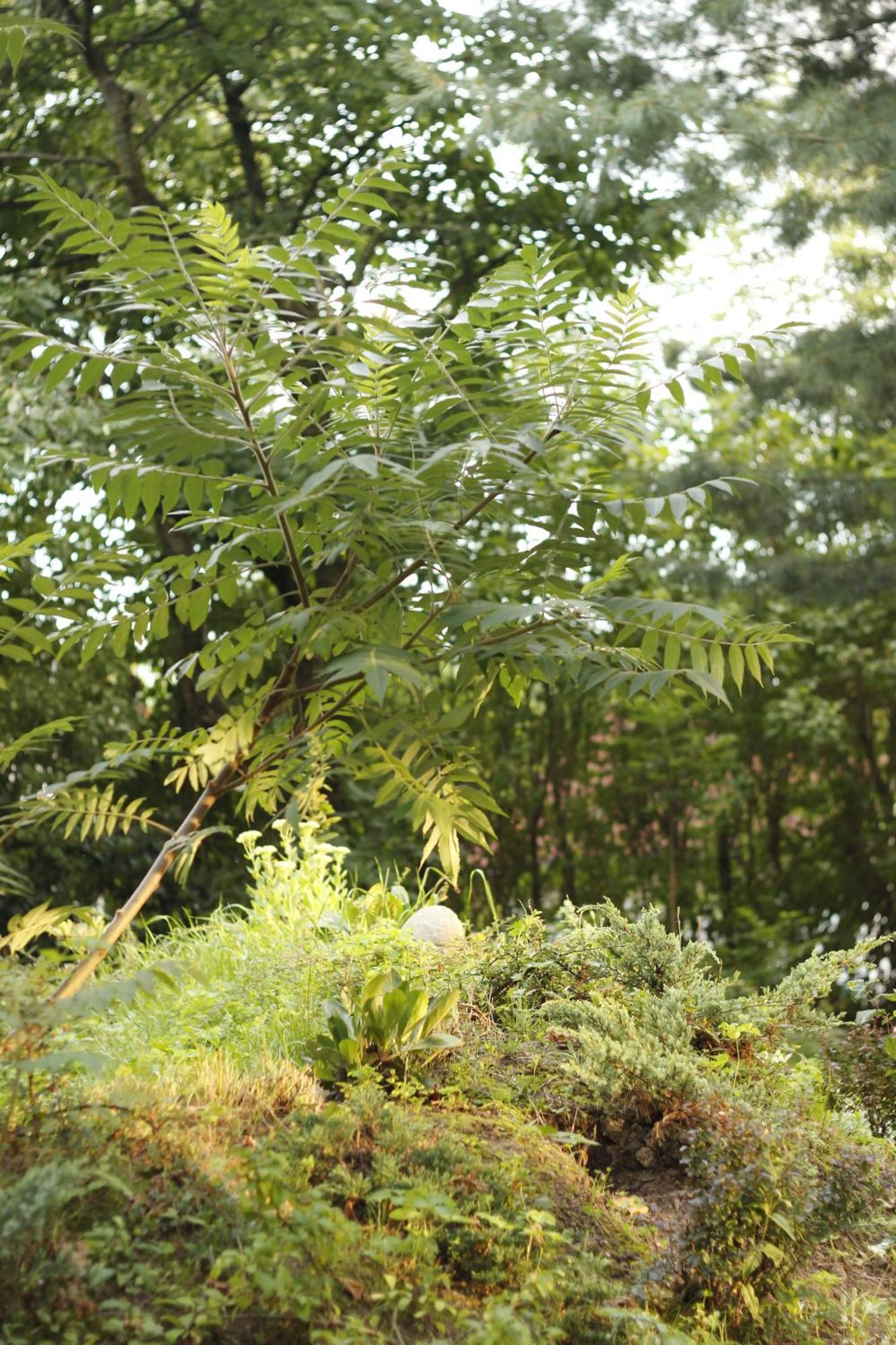Kunnersdorf Naturferienwohnung Schopstal מראה חיצוני תמונה